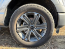 Thumbnail image of 2023 Ford F-150 at Larson Motor Group