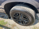 2024 Chevrolet Silverado 1500 RST at Triple J's Auto Sales, LLC