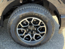 Thumbnail image of 2023 Ford F-150 at All State Ford Truck Sales Used