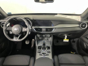 Thumbnail image of 2025 Alfa Romeo Stelvio at Browns Fiat Alfa Romeo