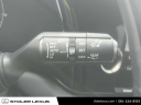 Thumbnail image of 2023 Lexus RX 350 at Stoler Lexus