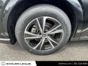 Thumbnail image of 2023 Lexus RX 350 at Stoler Lexus