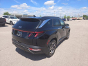 Thumbnail image of 2022 Hyundai TUCSON Hybrid at ToyotaOfSomerset of Somerset, KY