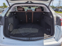 Thumbnail image of 2019 Alfa Romeo Stelvio at Arrigo Chrysler Dodge Jeep Ram at Sawgrass