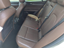 Thumbnail image of 2019 Alfa Romeo Stelvio at Arrigo Chrysler Dodge Jeep Ram at Sawgrass