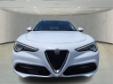Thumbnail image of 2019 Alfa Romeo Stelvio at Arrigo Chrysler Dodge Jeep Ram at Sawgrass