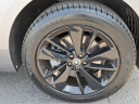 Thumbnail image of 2025 Jaguar F-PACE at Piazza Jaguar Land Rover Willow Grove