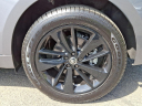Thumbnail image of 2025 Jaguar F-PACE at Piazza Jaguar Land Rover Willow Grove