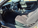 Thumbnail image of 2022 Ford Mustang at Serra Ford Farmington Hills