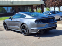 Thumbnail image of 2022 Ford Mustang at Serra Ford Farmington Hills