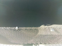 Thumbnail image of 2025 Hyundai ELANTRA at Toyota of Southern Maryland