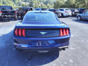 Thumbnail image of 2019 Ford Mustang at Gary Mathews Motors
