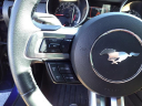 Thumbnail image of 2019 Ford Mustang at Gary Mathews Motors