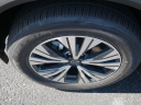 Thumbnail image of 2022 Nissan Rogue at Dutch Miller Nissan Of Wytheville
