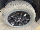 Thumbnail image of 2024 Toyota Tundra at Olathe Toyota ScionUsed