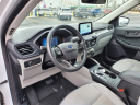 Thumbnail image of 2023 Ford Escape at Avis Ford