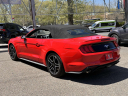 Thumbnail image of 2020 Ford Mustang at Toyota of Bay Ridge Brooklyn