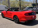 Thumbnail image of 2020 Ford Mustang at Toyota of Bay Ridge Brooklyn