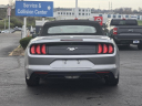 Thumbnail image of 2023 Ford Mustang at Suntrup Ford Westport