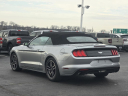 Thumbnail image of 2023 Ford Mustang at Suntrup Ford Westport