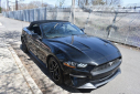 Thumbnail image of 2022 Ford Mustang at Certified Performance Motors