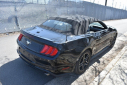 Thumbnail image of 2022 Ford Mustang at Certified Performance Motors