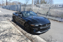 Thumbnail image of 2022 Ford Mustang at Certified Performance Motors
