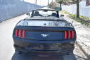 Thumbnail image of 2022 Ford Mustang at Certified Performance Motors