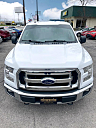 Thumbnail image of 2016 Ford F-150 at FEATHERSTON MOTORS