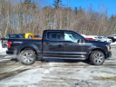 Thumbnail image of 2019 Ford F-150 at Mcfarland Ford Rochester