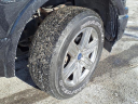 Thumbnail image of 2019 Ford F-150 at Mcfarland Ford Rochester