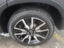 Thumbnail image of 2022 Honda Pilot at The New Babylon Honda