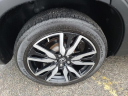 Thumbnail image of 2022 Honda Pilot at The New Babylon Honda