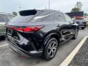 2023 Lexus RX 350h Premium at Lexus of Freeport