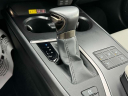Thumbnail image of 2024 Lexus UX 250h at Lexus of Freeport
