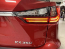 Thumbnail image of 2019 Lexus RX 350 at Lexus of Southampton