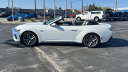 Thumbnail image of 2024 Ford Mustang at Maritime Ford-Lincoln