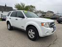 2008 Ford Escape XLT at CROSSROADS AUTO SALES