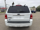 Thumbnail image of 2008 Ford Escape at CROSSROADS AUTO SALES