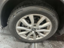 Thumbnail image of 2022 Nissan Rogue Sport at Empire Nissan of Bay Ridge