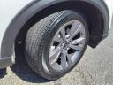 Thumbnail image of 2022 Ford Explorer at Mcfarland Ford Rochester