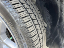 Thumbnail image of 2024 Honda Passport at Regal Automotive (Kia Chevy)