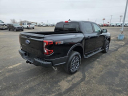 Thumbnail image of 2024 Ford Ranger at Osseo Ford