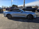 Thumbnail image of 2022 Ford Mustang at Dorian Ford New