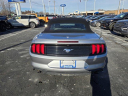 Thumbnail image of 2022 Ford Mustang at Dorian Ford New