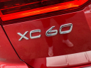 Thumbnail image of 2019 Volvo XC60 at PERFECT 10 AUTO