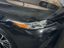 Thumbnail image of 2019 Toyota Camry at Hillside Toyota