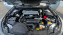 Thumbnail image of 2024 Subaru Outback at Don Miller Subaru East