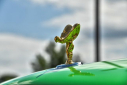 Thumbnail image of 2024 Rolls-Royce Cullinan at PerilloDownersGrove of Downers Grove, IL