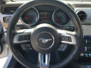 Thumbnail image of 2023 Ford Mustang at LorenzoFord-New of Homestead, FL